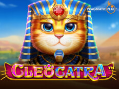 Cool cat online casino41